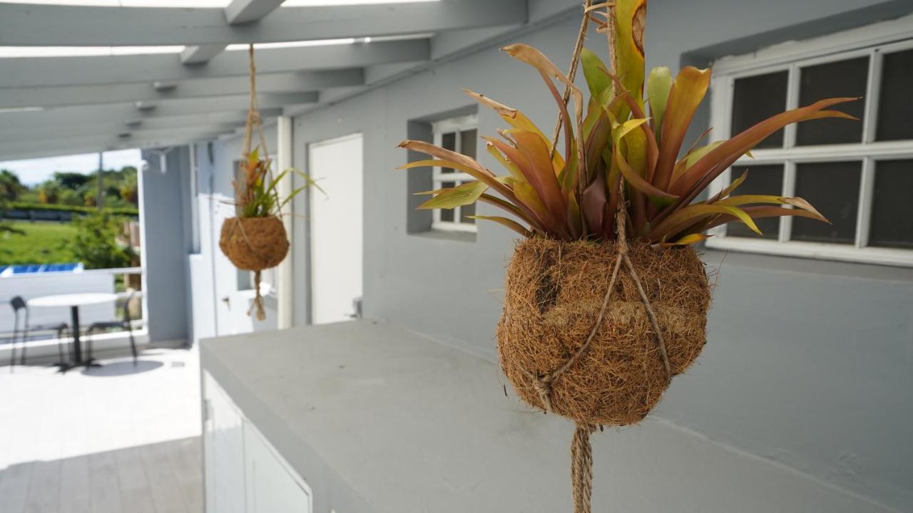 The Pelican Poshtel サンジョアン エクステリア 写真